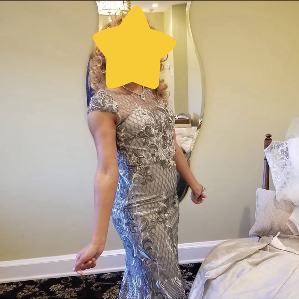 Sophisticated Silver Lace Gown